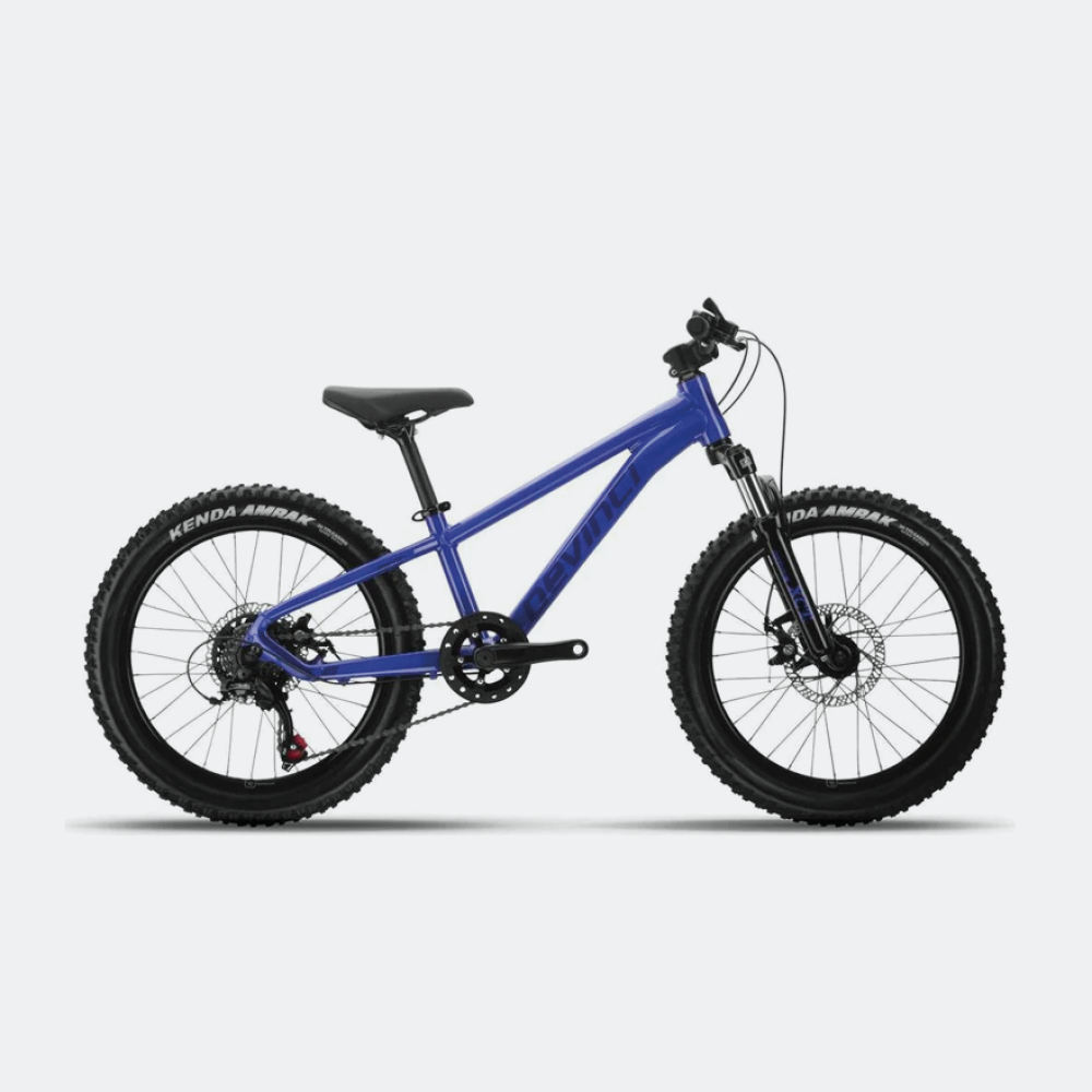 Vélo pour enfant 20 pouces bleu DeVinci Ewoc